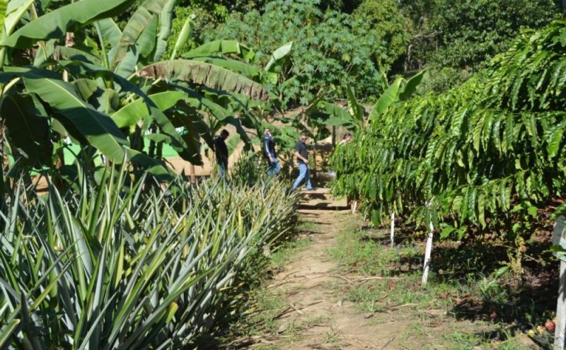 Vitrine Tecnológica reforça produção sustentável na agricultura familiar na Rondônia Rural Show