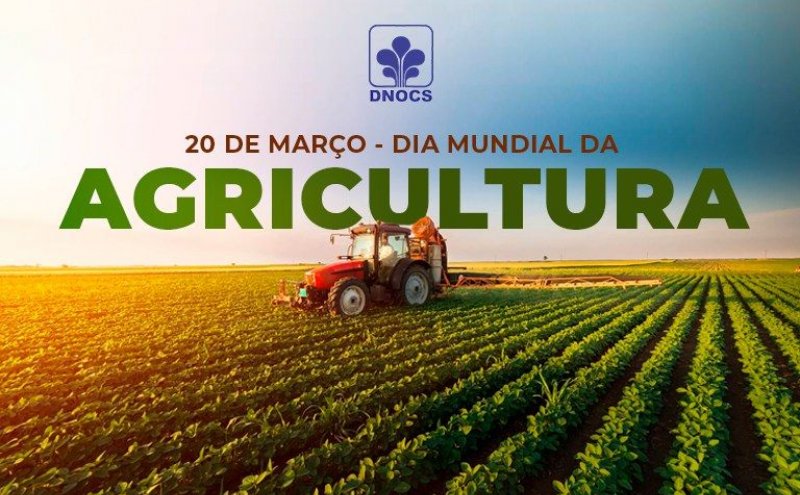 Dia Mundial da Agricultura: princípios e práticas da agricultura regenerativa